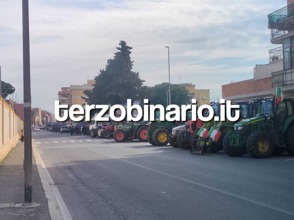 trattori mediana civitavecchia 22 trattori mediana civitavecchia 22