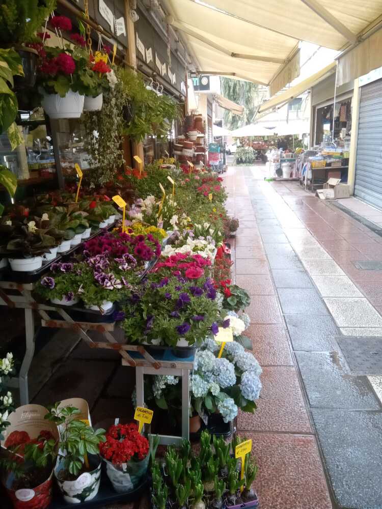 Mercato via Ancona ladispoli