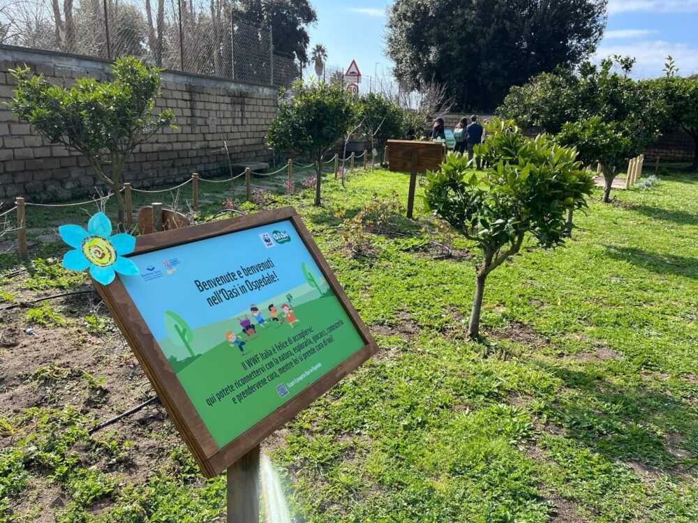 Oasi in Ospedale Wwf al Bambin Gesù di Palidoro