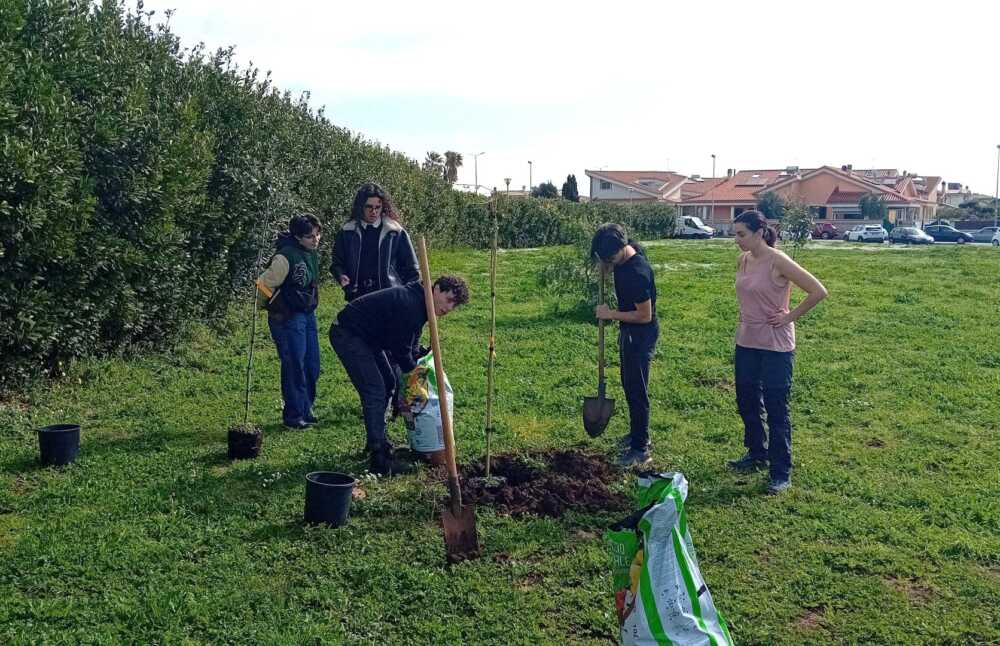 Salviamo Paesaggio+Farmacia Salvo D’Acquisto alberi ladispoli Salviamo Paesaggio+Farmacia Salvo D'Acquisto alberi ladispoli