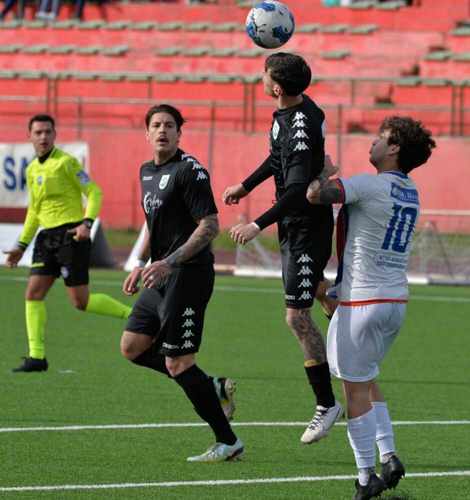 gaudenzi santa marinella gaudenzi santa marinella