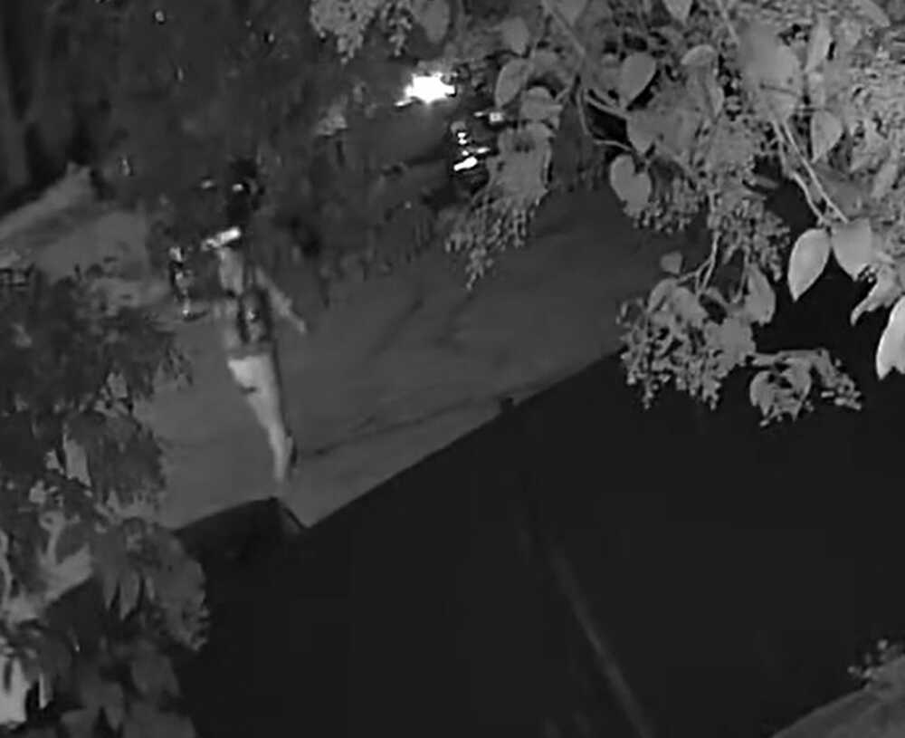 vigilante arrestato carabinieri cassia vigilante arrestato carabinieri cassia