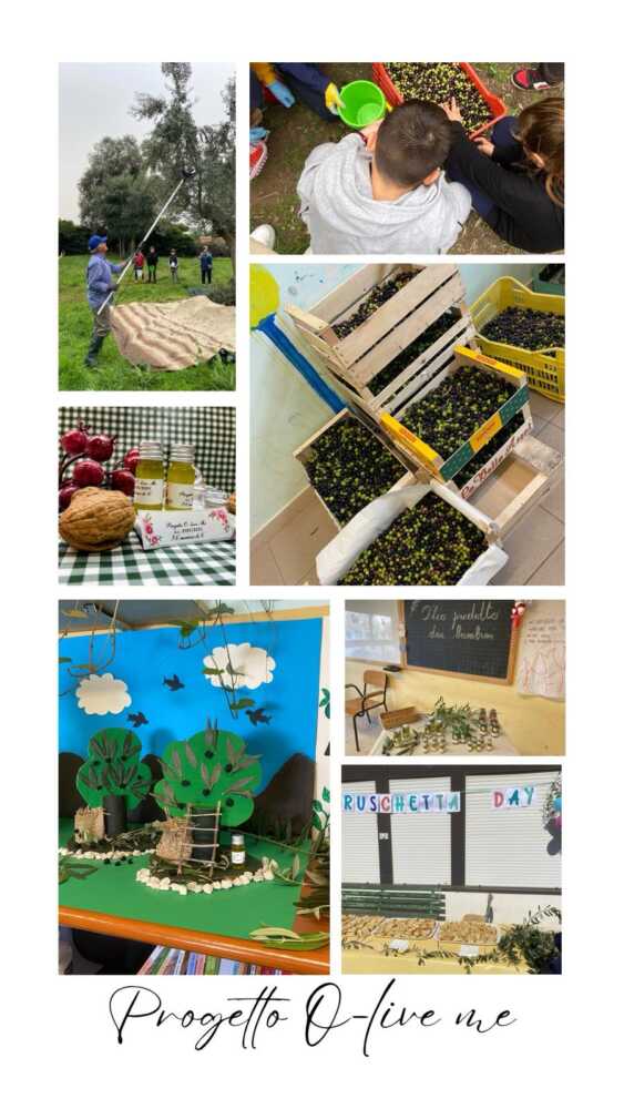 IMG-20250414-WA0034 (3)