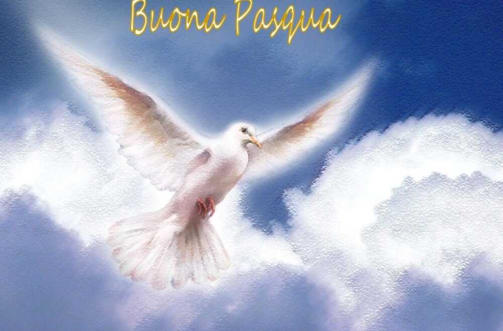 buona-Pasqua colomba