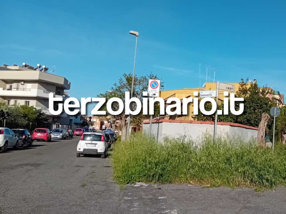 erba alta via capri ladispoli 1