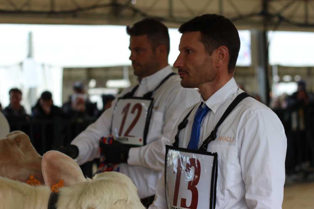 famiglia Luchenti azienda agricola famiglia Luchenti azienda agricola