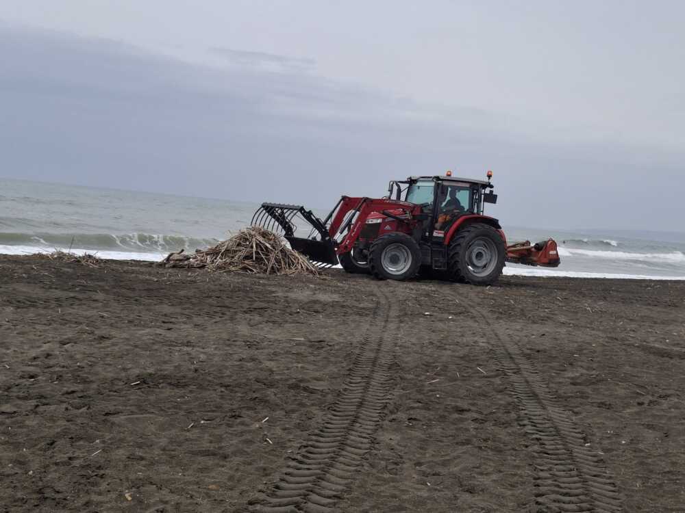 foto campo di mare foto campo di mare