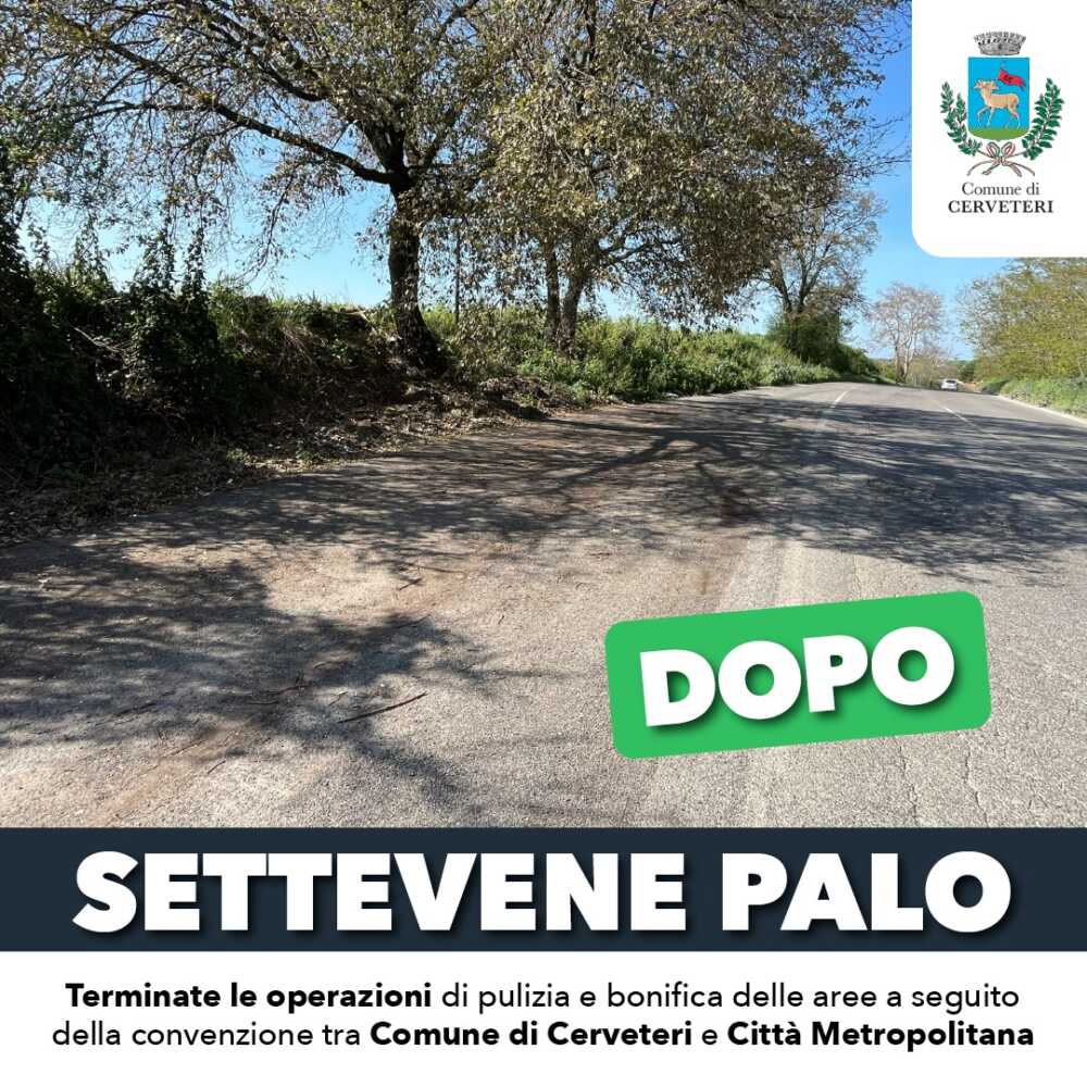 rimozione dei rifiuti settevene palo rimozione dei rifiuti settevene palo