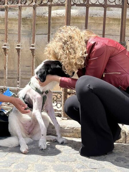 vania cagnetta investita cerveteri gubetti 1
