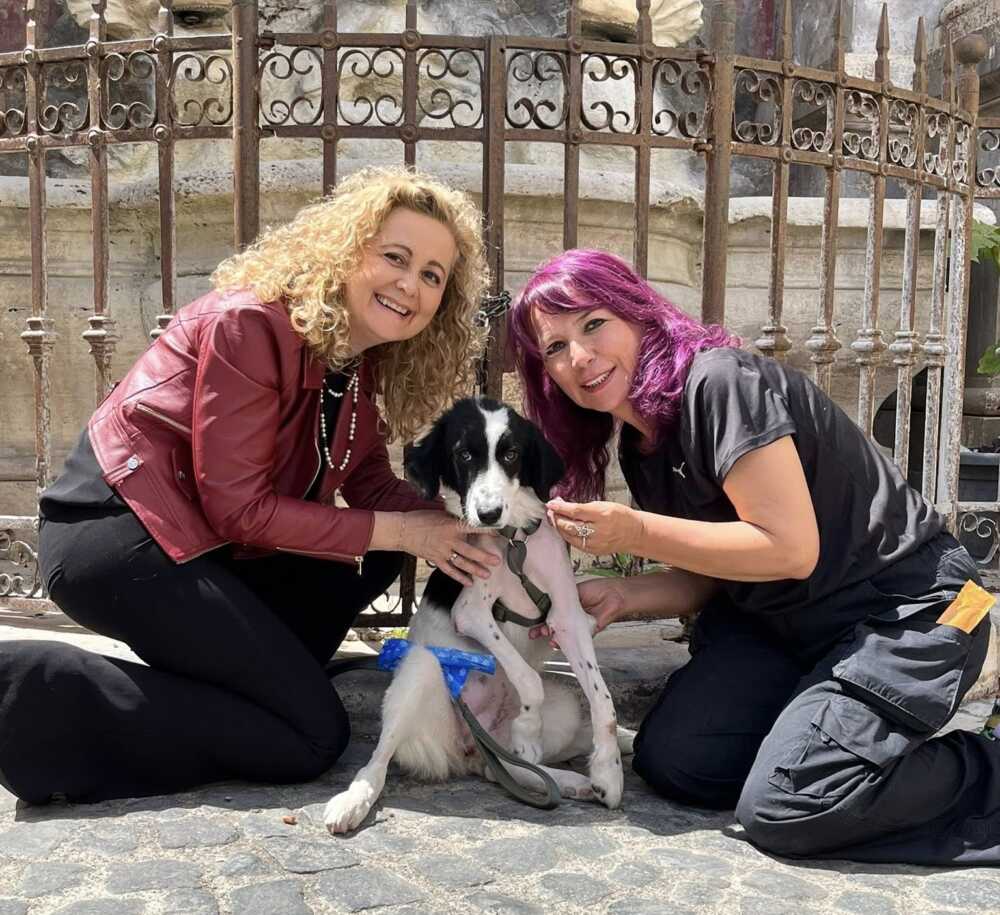 vania cagnetta investita cerveteri gubetti 3