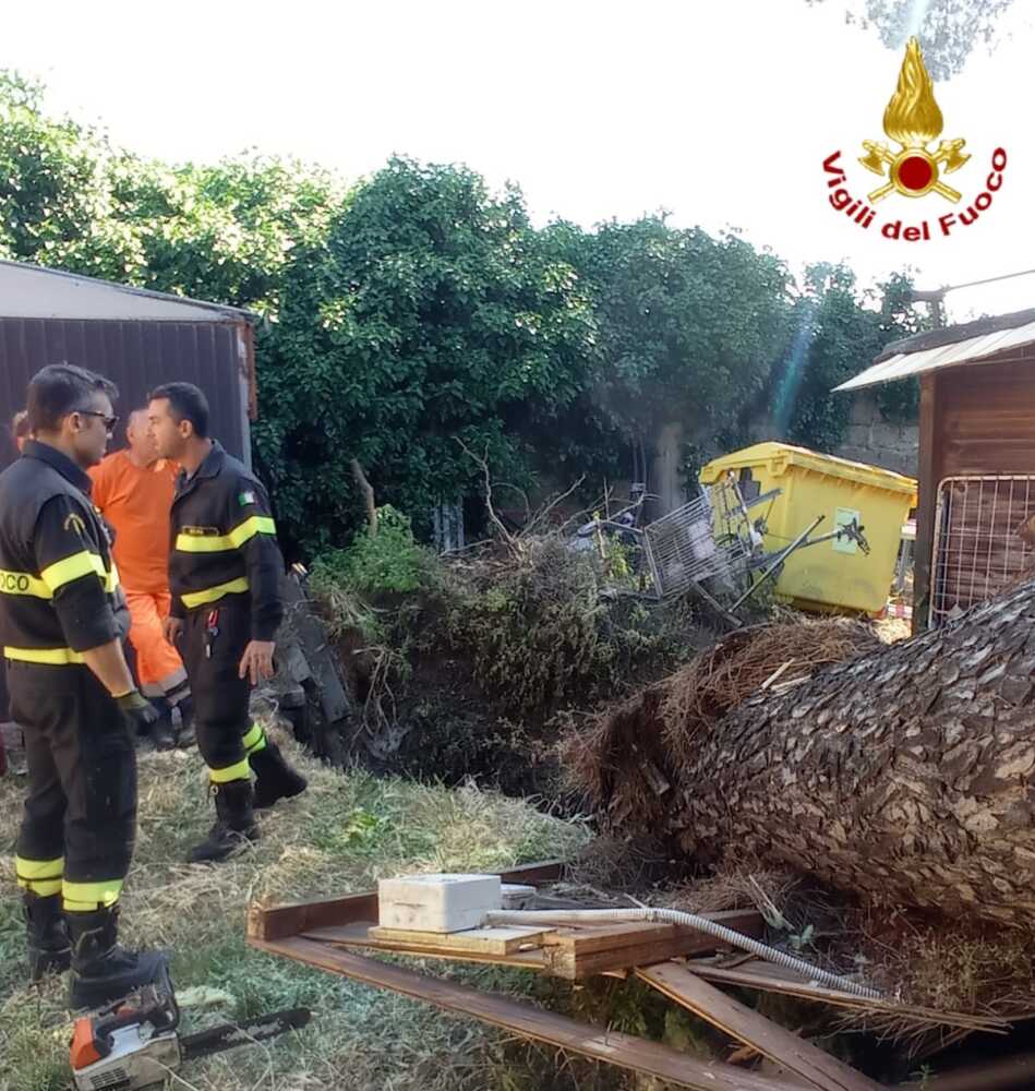 albero caduto cerveteri cisterna etrusca