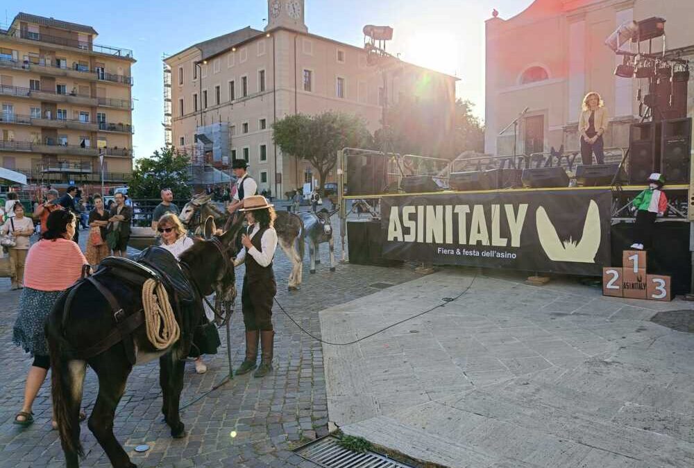 Torna Asinitaly ad Allumiere, presentato l’evento alla Fondazione Cariciv