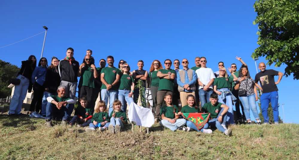 Tolfa, la rinascita del rione Casalaccio riparte dal mandorlo “Albero Vagabondo”