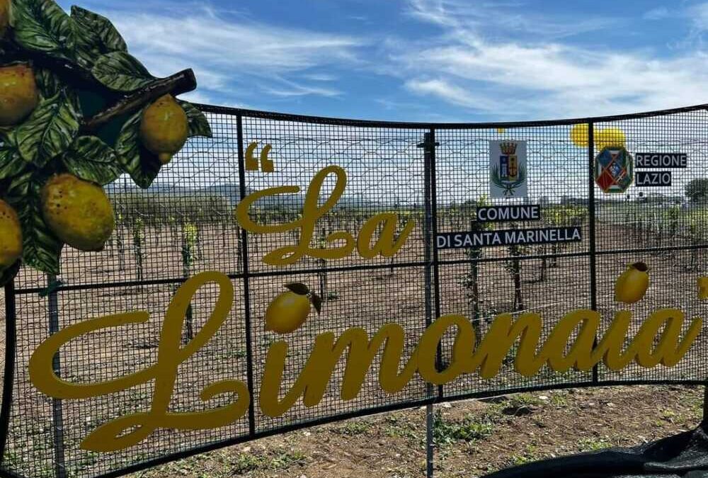 M5s Santa Marinella: “Politica ridotta a televendita dell’urgenza”