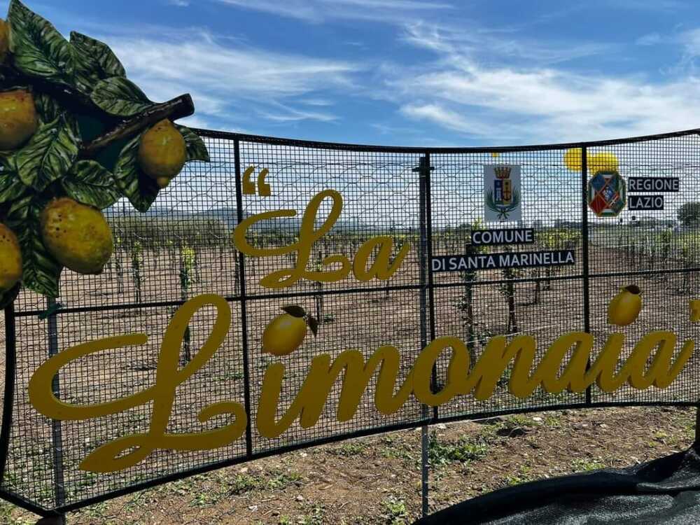 limonaia santa marinella