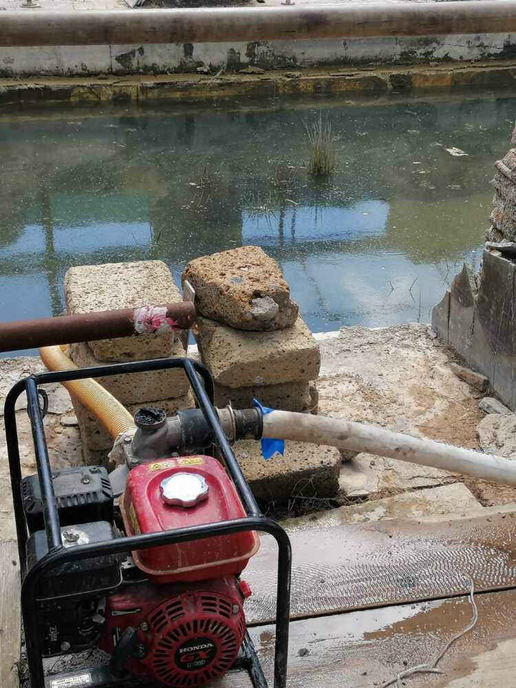 prociv cerveteri acquae caeretanae