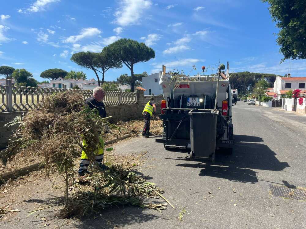 raddoppio sfalcio erba