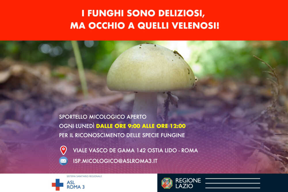 Sportello Micologico ad Ostia, la Asl Roma 3: “Dopo la raccolta funghi, affidarsi agli esperti”