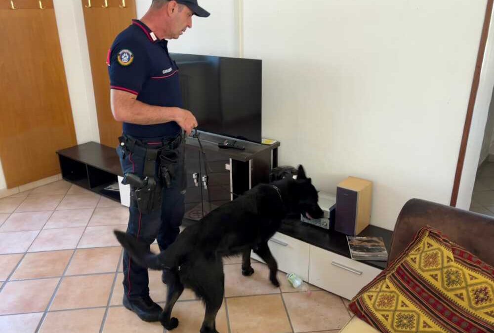 Spaccia dagli arresti domiciliari, arrestato un 42enne a Cesano