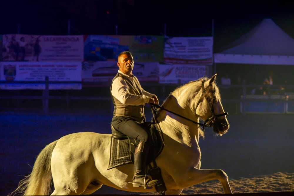 Festa della Maremma di Borgo San Martino_foto di repertorio Festa della Maremma di Borgo San Martino_foto di repertorio