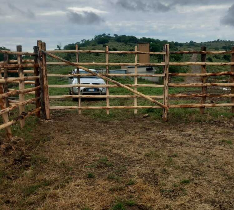 Allumiere, work in progress all’Università Agraria