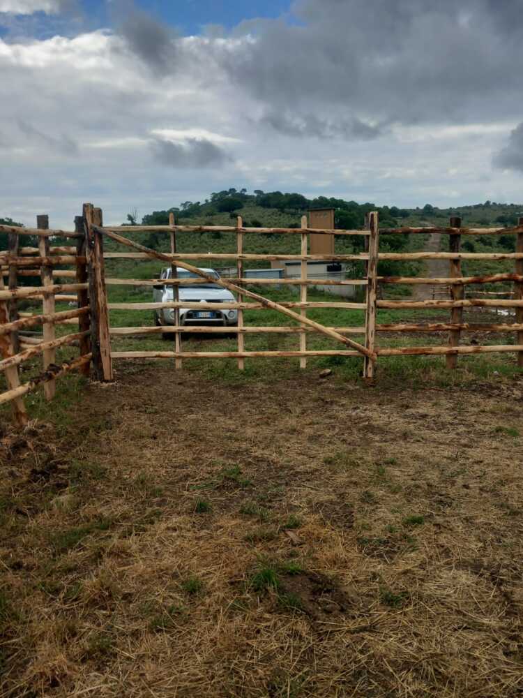 IMG-20250622-WA0001 (2)