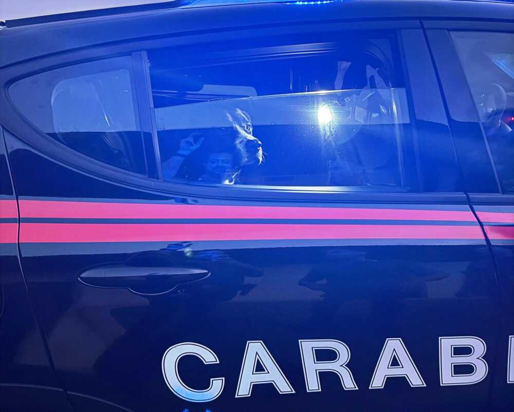 La pattuglia di Carabinieri con il cane rinvenuto a Trastevere questa notte (2) La pattuglia di Carabinieri con il cane rinvenuto a Trastevere questa notte (2)