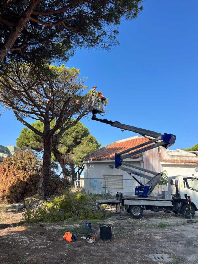 Lavori piazza prima rosa 2 Lavori piazza prima rosa 2