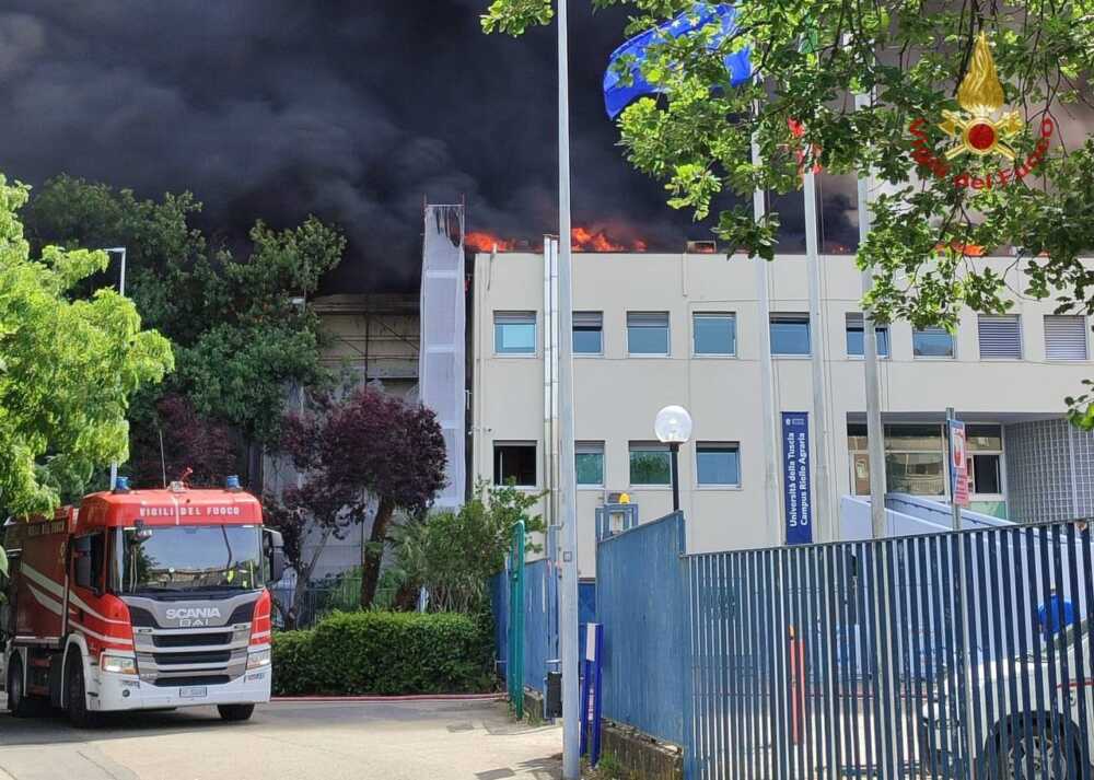 incendio agraria viterbo vvf vigili fuoco pompieri (1)