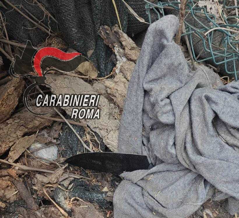 omicidio fregene coltello carabinieri