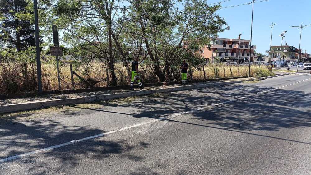 sfalcio erba cerveteri