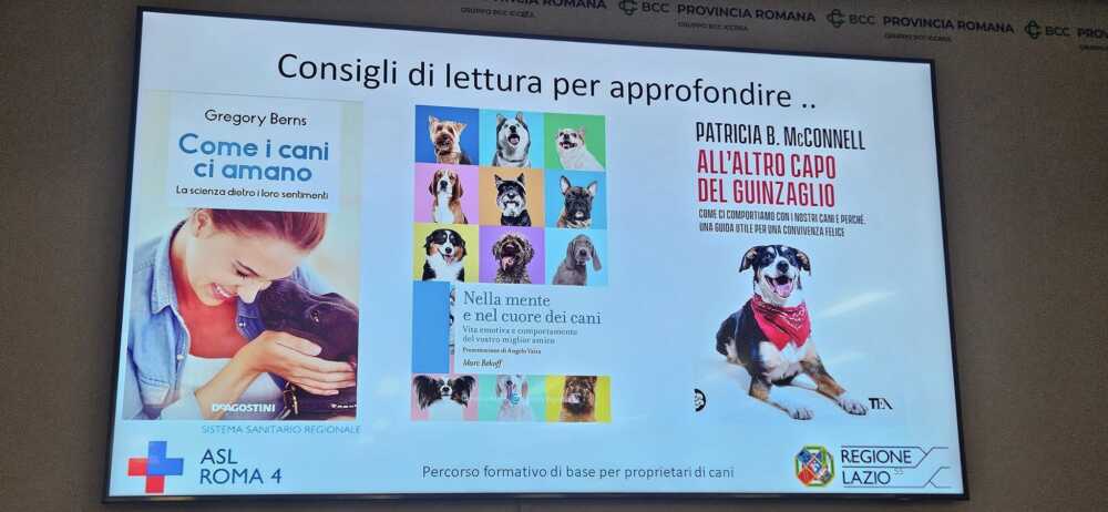 veterinaria asl roma 4 corso cani