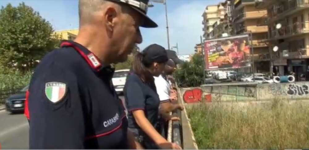 Marcucci al vetriolo sul coccodrillo di Ladispoli: “Serve lo stesso impegno per inquinamento acustico e scarichi abusivi”