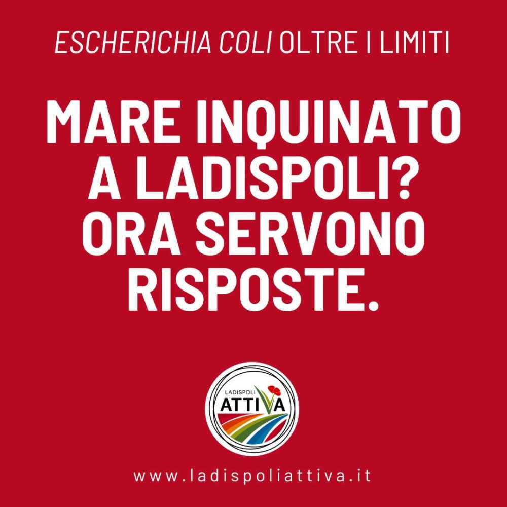ladispoli attiva ladispoli attiva