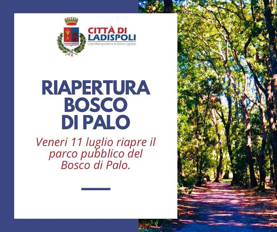 locandina bosco palo locandina bosco palo