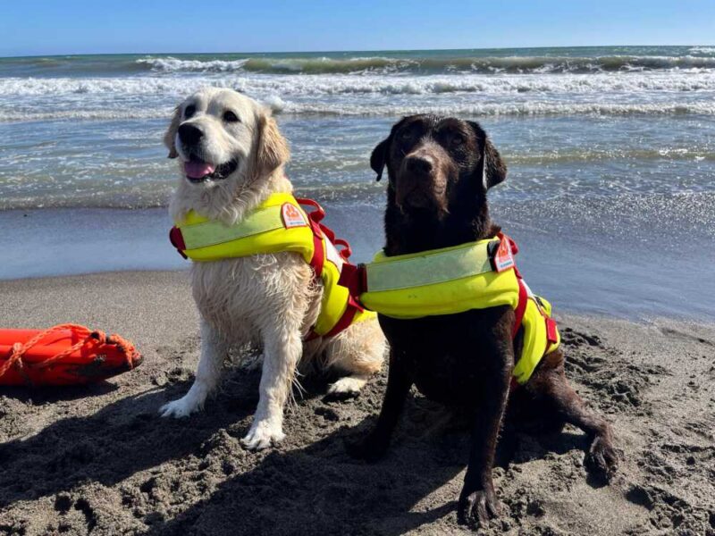 sics cagnolone montalto castro Nita e Maia