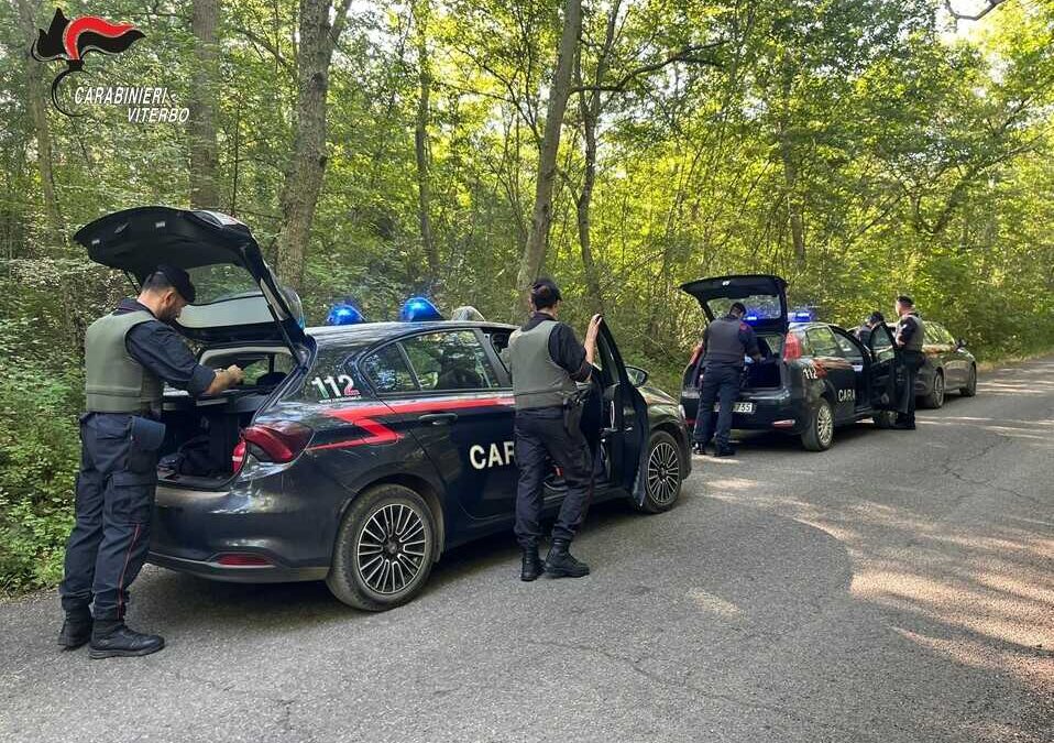 Spaccio nei boschi del Viterbese, interventi dei Carabinieri a Tarquinia e Montalto