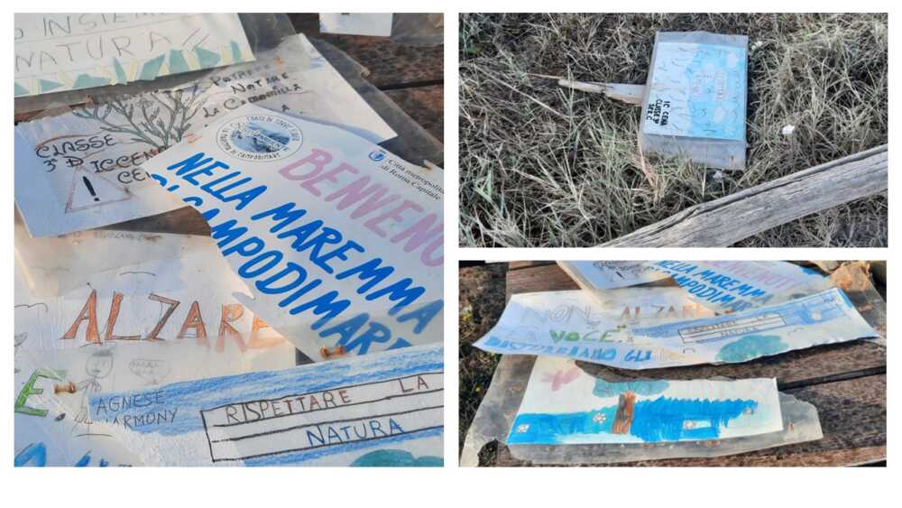 Vandali torre flavia Vandali torre flavia