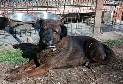 Cassandra aspetta amore da undici anni e Ice chi la salvi da una brutta fine