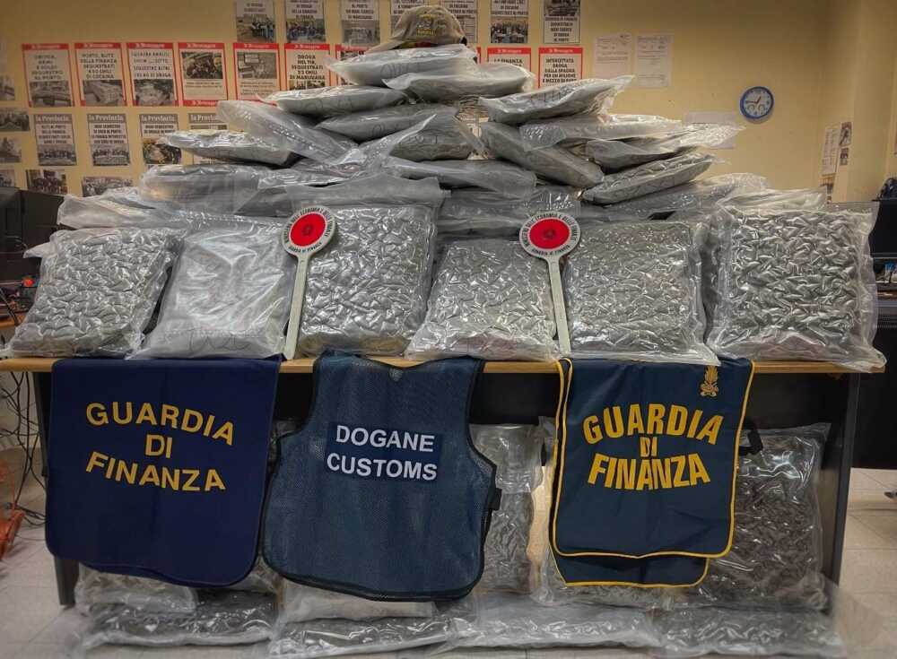 finanza dogane roga porto civitavecchia abiti sposa finanza dogane roga porto civitavecchia abiti sposa