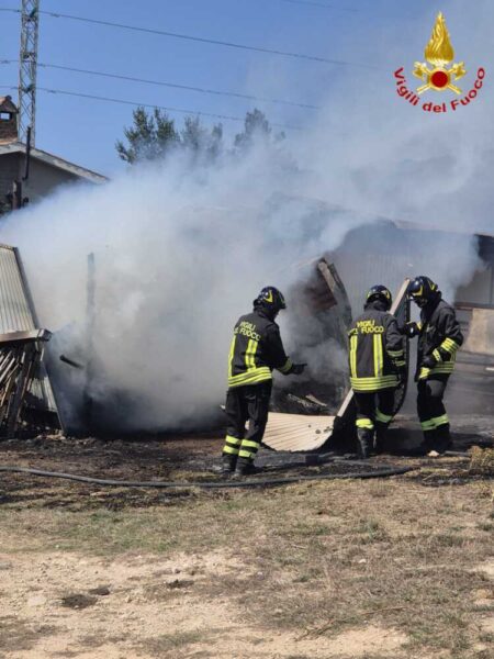 incendio legnaia tolfa vvf vigili fuoco pompieri 2
