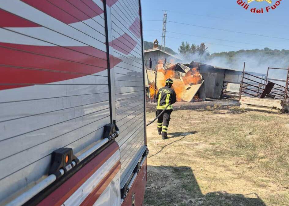 Incendio in una legnaia di Tolfa, i pompieri salvano abitazioni ed animali
