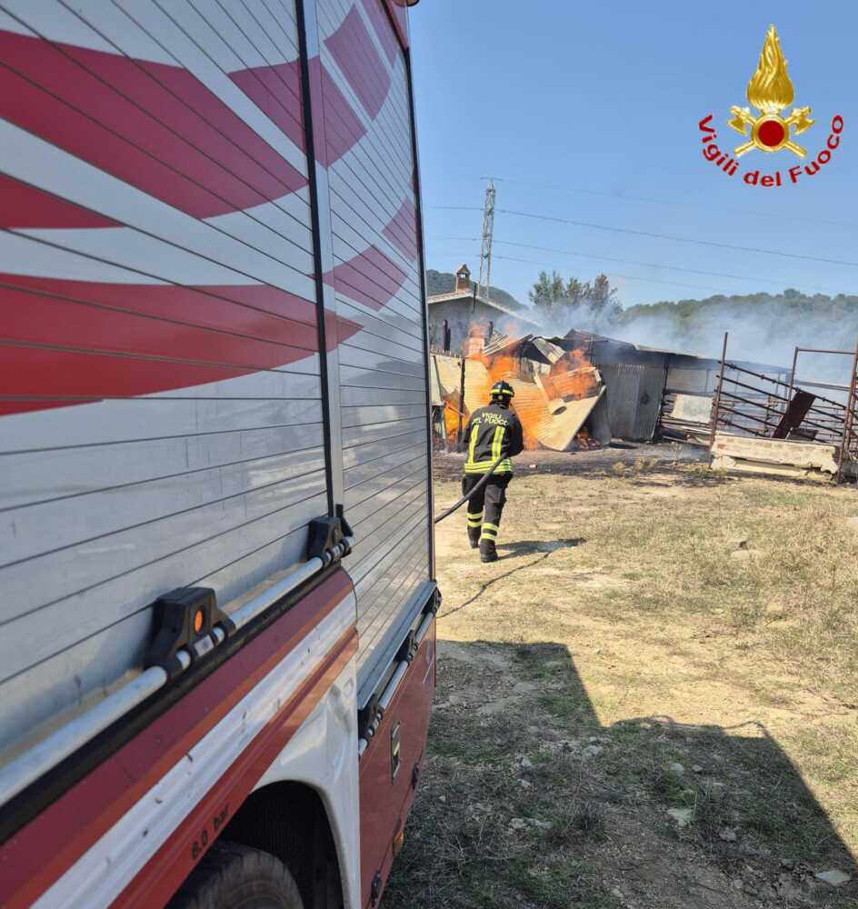 incendio legnaia tolfa vvf vigili fuoco pompieri 2