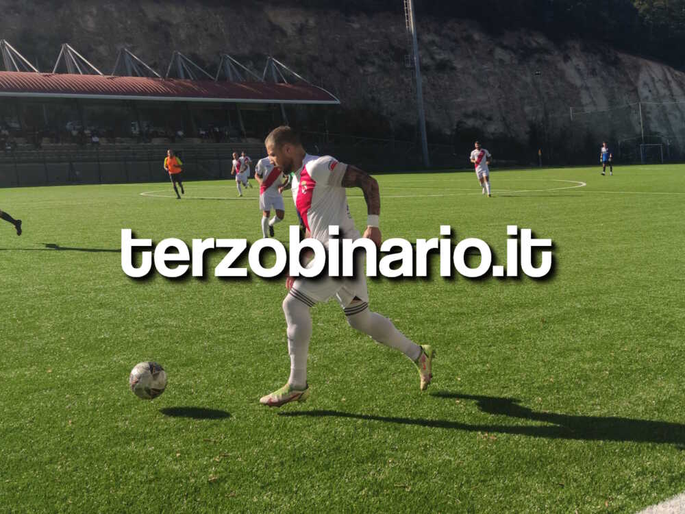 manuel vittorini tolfa