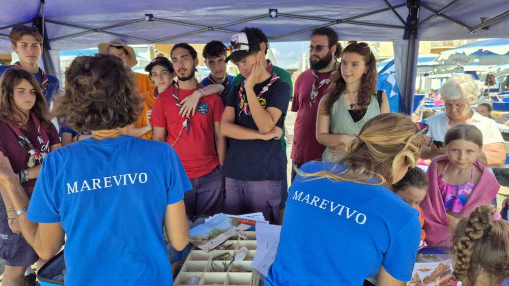 marevivo ladispoli marevivo ladispoli