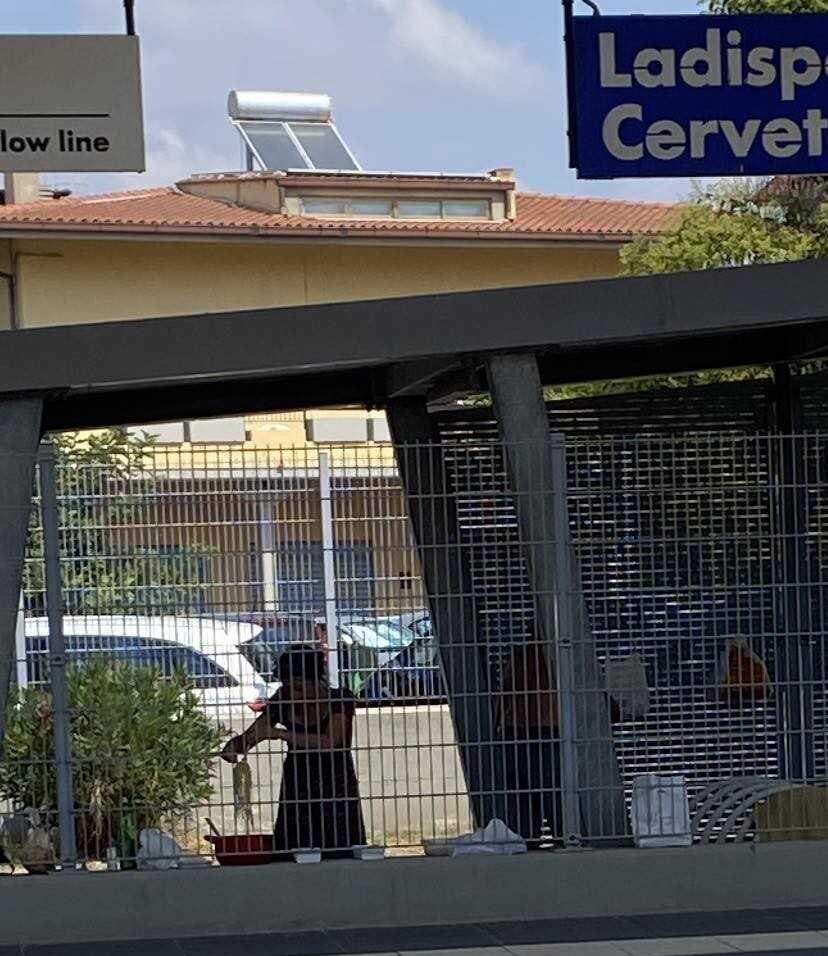 pasta stazione ladispoli clochard senza fissa dimora