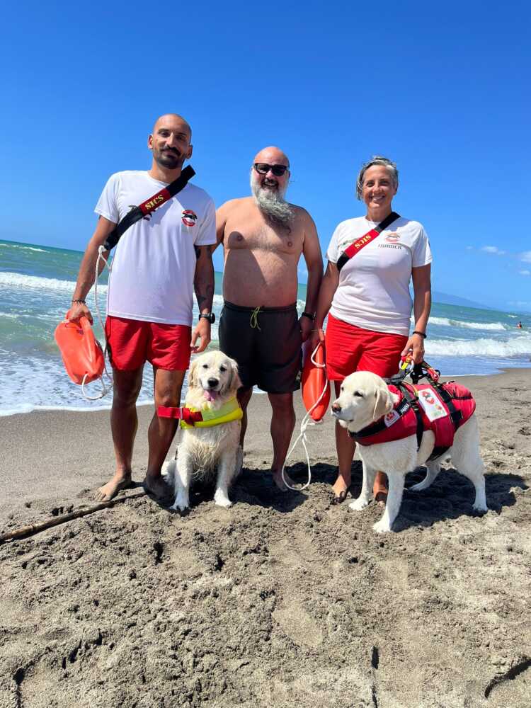 pescia romana maia panna cagnolone sics pescia romana (1) pescia romana maia panna cagnolone sics pescia romana (1)