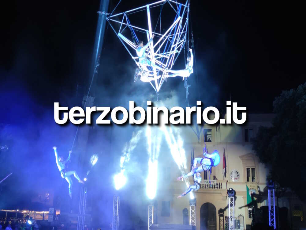 tolfarte 2025 sonics 1 tolfarte 2025 sonics