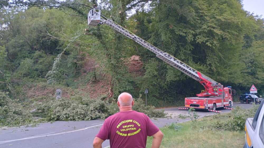 prociv vvf vigili fuoco pompieri allumiere carabinieri caduta albero prociv vvf vigili fuoco pompieri allumiere carabinieri caduta albero