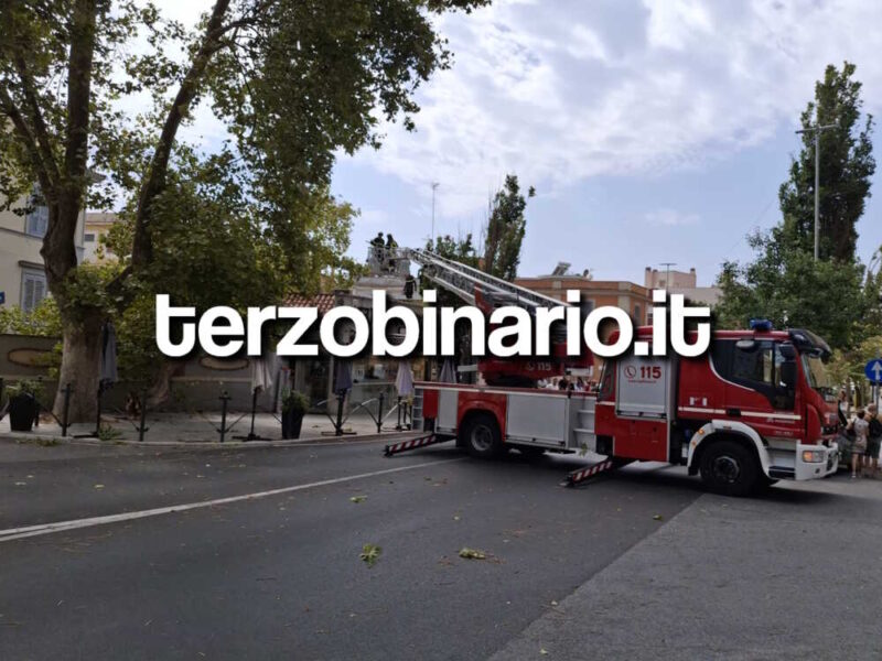 vvf vigili fuoco pompieri autoscala albero caduto liberty corso centocelle civitavecchia 11